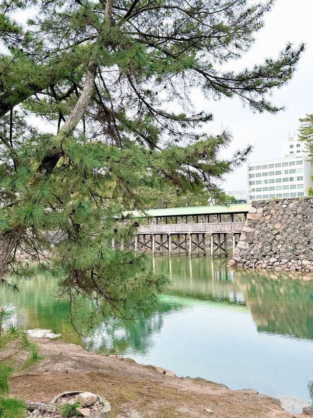 자연을 느끼기 좋은 일본 소도시 여행🇯🇵
