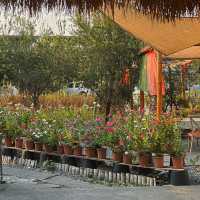 เพลินคาเฟ่ บางปู - สมุทรปราการ