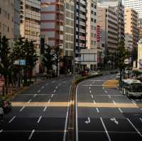 Kobe: A City of Scenic Views and Culinary Excellence