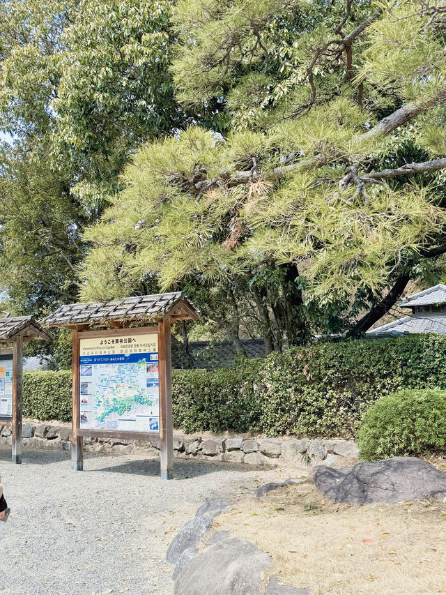 일본 여행 여기는 잊지 못할 것 같아요 🇯🇵
