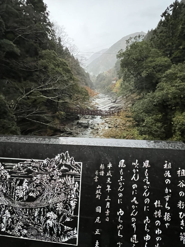 祖谷の蔓橋で感じたスリルと絶景