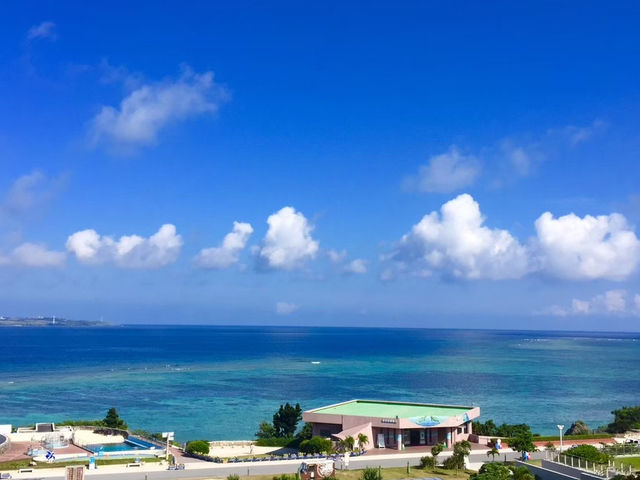 【沖縄】美ら海水族館
