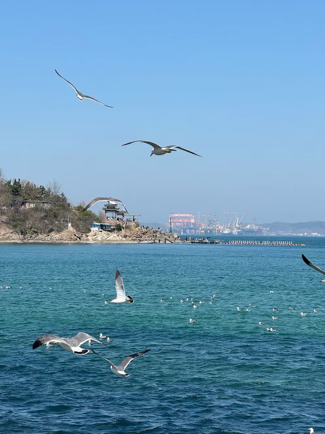The sea of Yantai 🌊🇨🇳 Healing moment