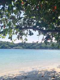 เกาะเสม็ด