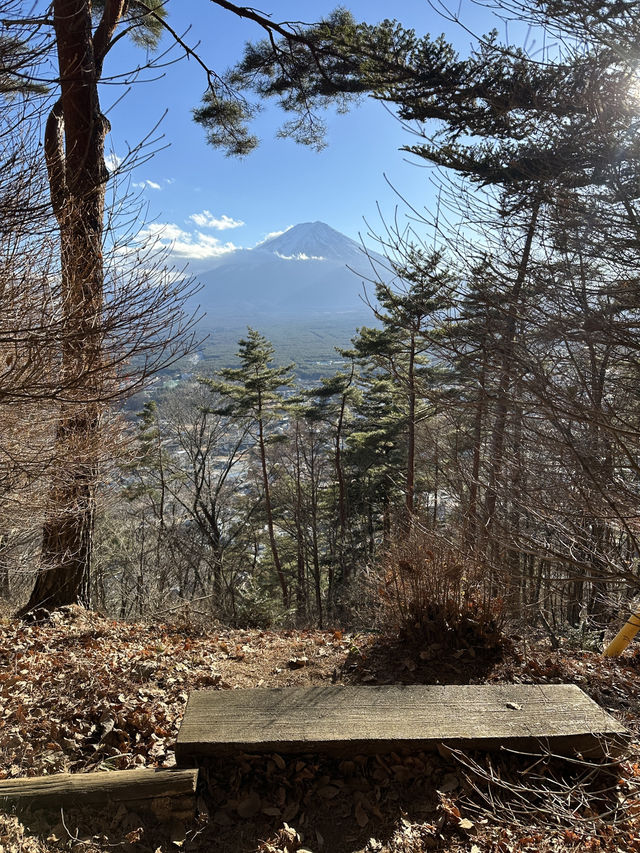 搭天上山公園纜車🚡鳥瞰河口湖嘆絕景富士山🗻