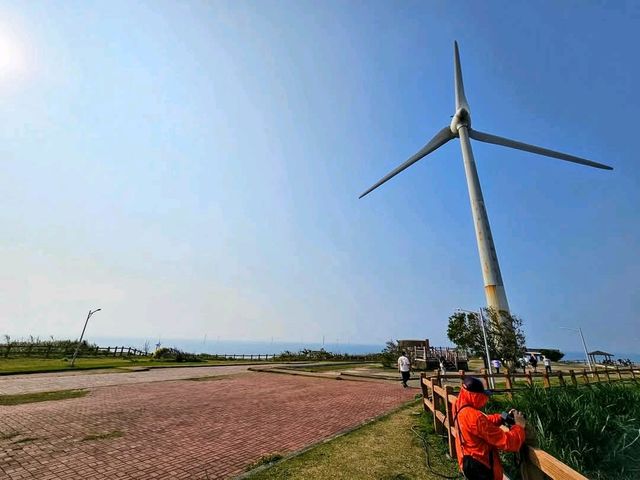 高美濕地賞落日，浪漫的金黃色海天一線