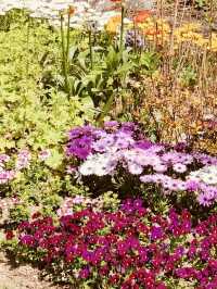 Spring's Tranquil Trails: Exploring Maeheon's Diverse Landscapes 