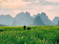 Chasing Rural Charm: Visiting Guilin’s Picturesque Zhuangyuan Bridge
