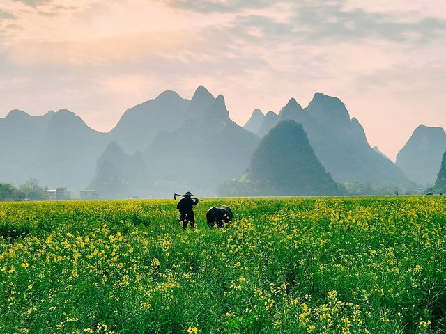 Chasing Rural Charm: Visiting Guilin’s Picturesque Zhuangyuan Bridge