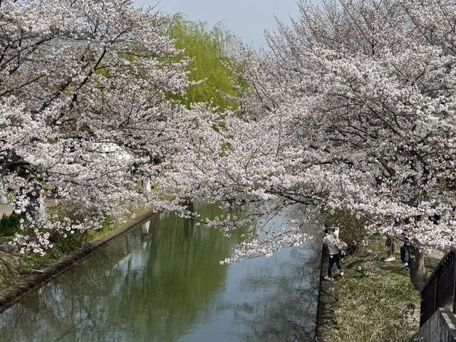 【京都】であい橋