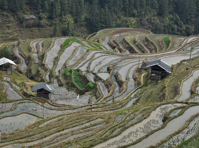 貴州加榜梯田旅遊攻略