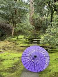 【石川×那谷寺】緑の苔に覆われた境内  羽織、番傘レンタルが無料