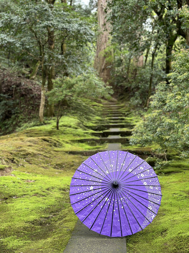 【石川×那谷寺】緑の苔に覆われた境内  羽織、番傘レンタルが無料