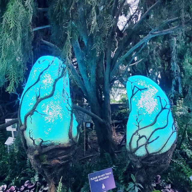 Nature's Harmony: My Unforgettable Visit to Gardens by the Bay