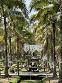清邁椰林市集🌴