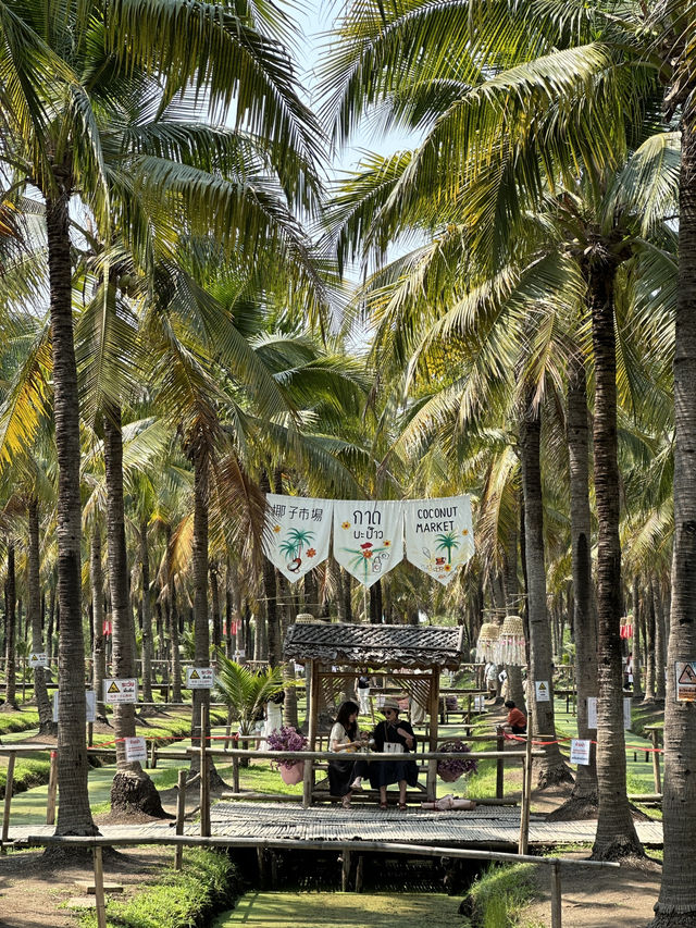 清邁椰林市集🌴