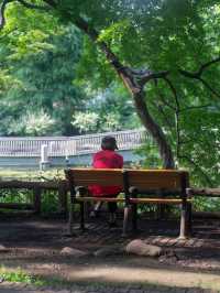 井の頭公園で心癒されるスナップ撮影🌳