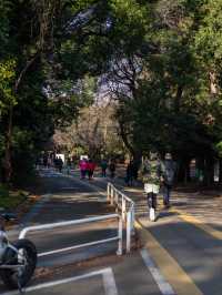 駒沢公園をゆったり散策してみる🌳