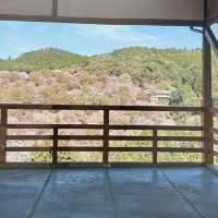 吉野山賞櫻｜傳說中的「一目千本」…
