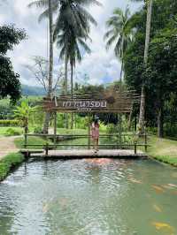แวะให้อาหารปลาคาร์ฟสุดคิวท์ @เกาะนารอบ โฮมสเตย์