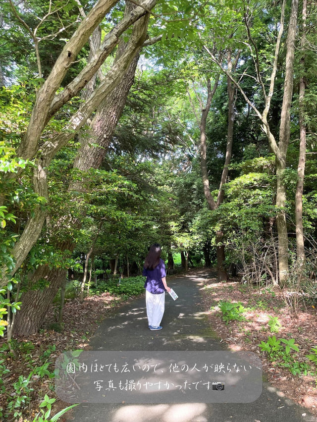 無料で入園できる日がある！？つくば植物園🌱