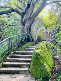 Xiangshan Six Rocks