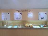 北海道旅遊🥳富良野起司工房😍品嚐出產最馳名的起司牛奶奶油類食品🧀