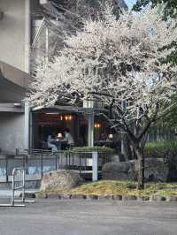 熱田神宮（名古屋）