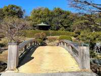 絕美靜謐大仙公園日本庭園🌿