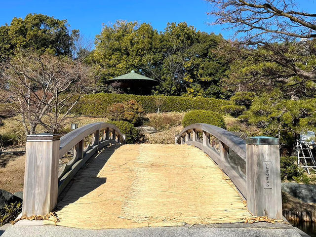絕美靜謐大仙公園日本庭園🌿