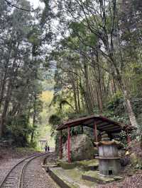 走讀阿里山林道鐵路的百年風華～奮起湖站到十字路站