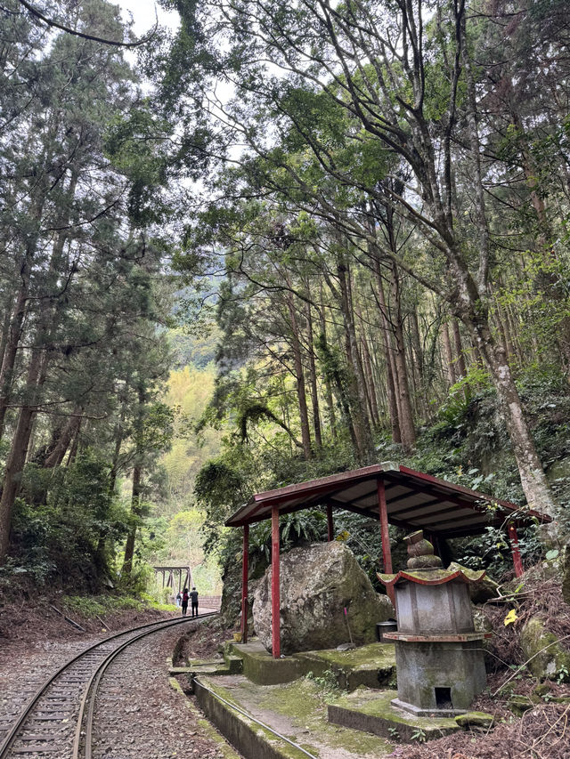 走讀阿里山林道鐵路的百年風華～奮起湖站到十字路站