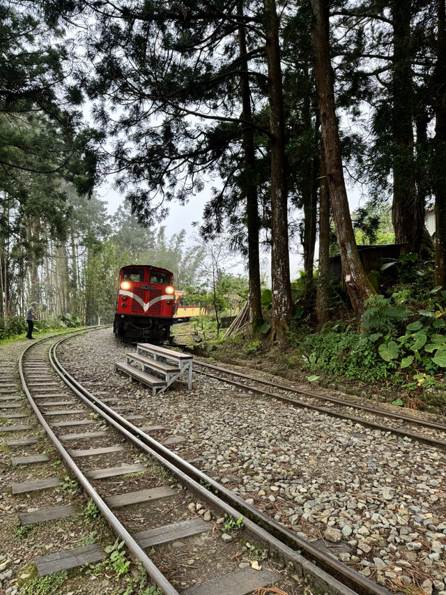 走讀阿里山林道鐵路的百年風華～奮起湖站到十字路站
