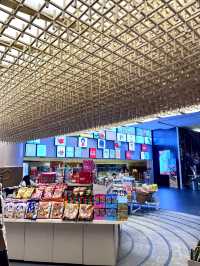 “From Sumo to Sustainability: A Conscious Journey Through Tokyo Town”