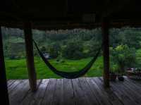 นาขั้นบันได บ้านปางมะโอเชียงใหม่