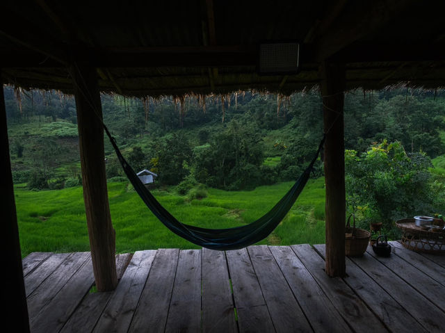 นาขั้นบันได บ้านปางมะโอเชียงใหม่