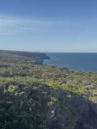 【シドニー】電車とフェリーで行ける大自然！Royal National Park で癒しのトレイル旅