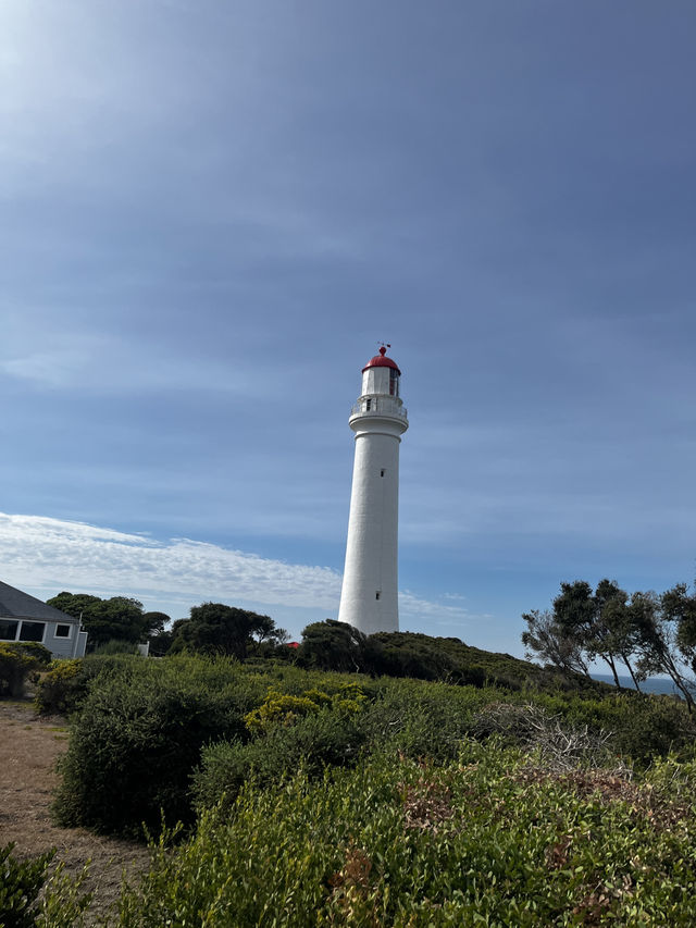 Explore Great Ocean Road in Australia 