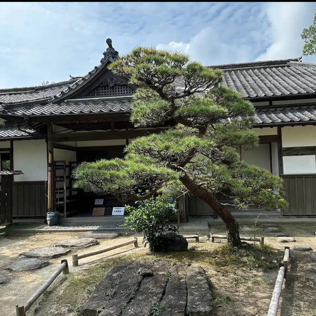 杵築城