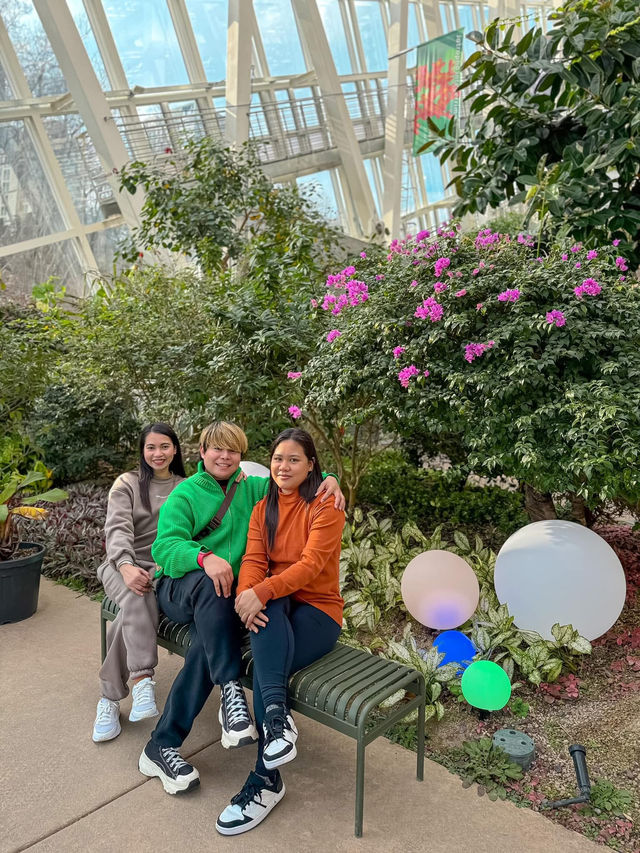 A Scenic Forest Urban Park in South Korea