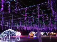งานเทศกาลดอกวิสเทอเรีย, ฟุกุโอกะ