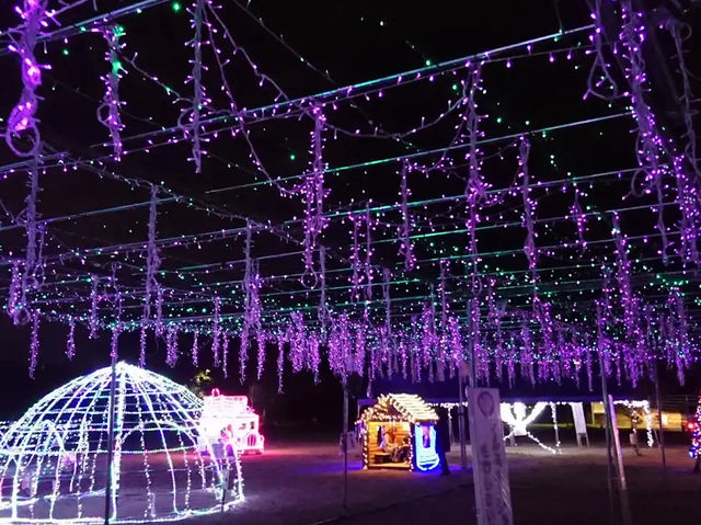 งานเทศกาลดอกวิสเทอเรีย, ฟุกุโอกะ