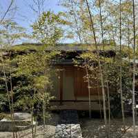 石神井公園 | 寧靜中的綠意