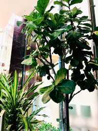 Celebrate Raya the Sustainable Way at Banyan Tree Kuala Lumpur