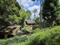🍃 Zen Vibes Only: A Peaceful Pause at Bukit Tinggi’s Japanese Garden 🏯✨