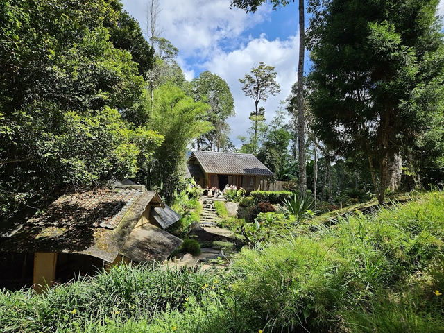 🍃 Zen Vibes Only: A Peaceful Pause at Bukit Tinggi’s Japanese Garden 🏯✨