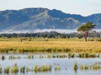 Exploring the Tempasuk Plains: Sabah’s Hidden Gem for Nature Lovers