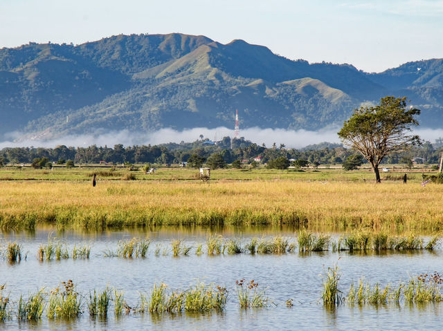 Exploring the Tempasuk Plains: Sabah’s Hidden Gem for Nature Lovers