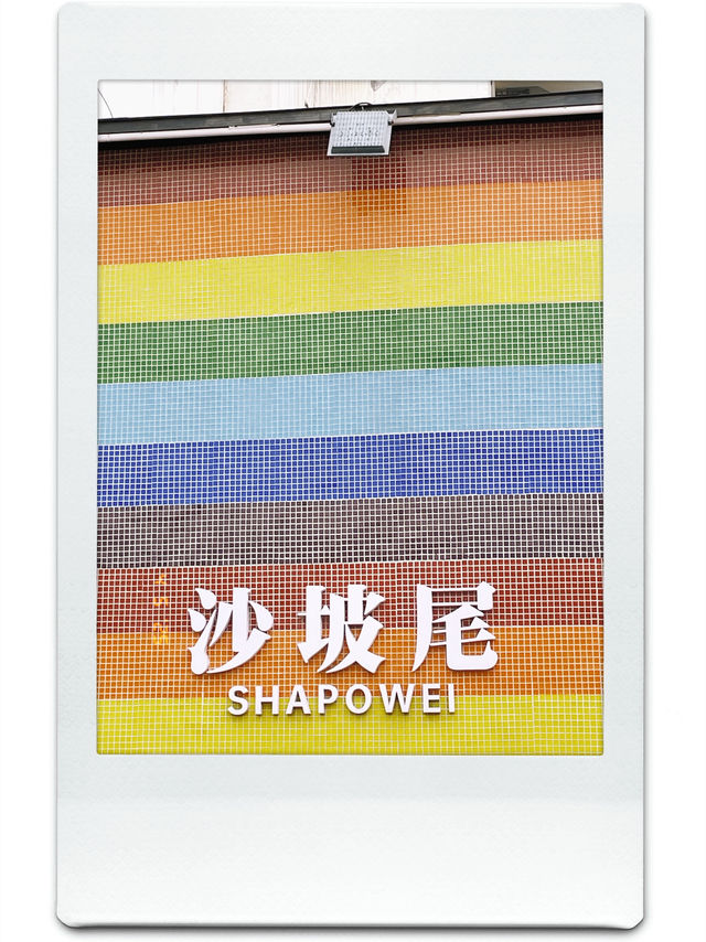 千奇百怪！吃喝玩樂樣樣整