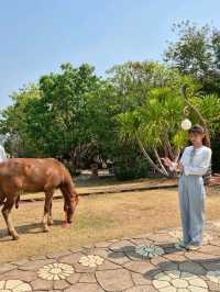 วัดภูพร้าว อ.สิรินธร จ.อุบลราชธานี